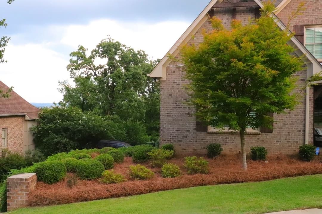 Lush landscaped garden with bushes and a small tree beside a brick house on a hillside.